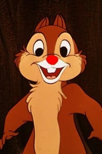 ���� ������