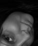 Sandra