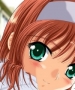 Vetiver