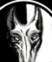 drom ram