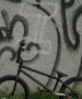 grisha