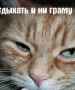 kostinsergey