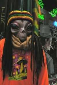 TaPaC x