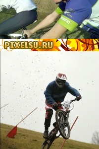 Ion Semeniuc