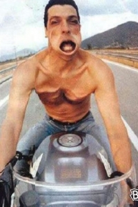 ���� ltltgtgt