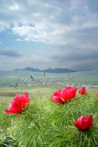 Жанна Танасийчук