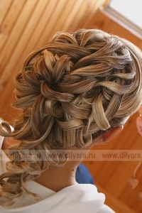 ������ �����