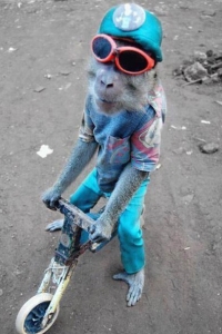 �� �������