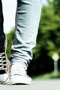 ������ ���������