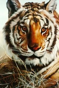 ������ �������