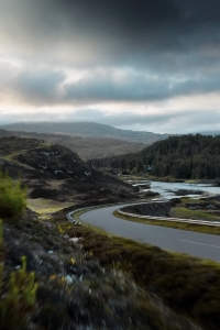 ���� ���������