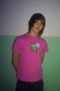 ˸�� ������