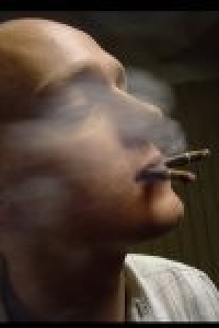 Ant P