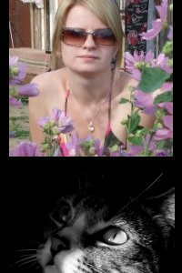 ��������� ���