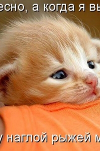 ���������� ����