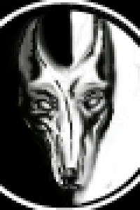 drom ram