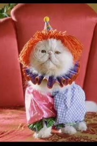 ��������� ������