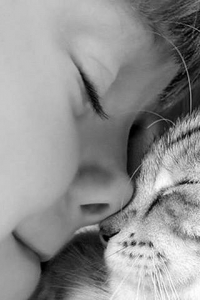 �������� ���������