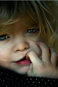 ������ ���������