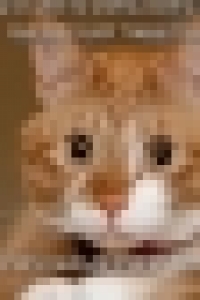 del