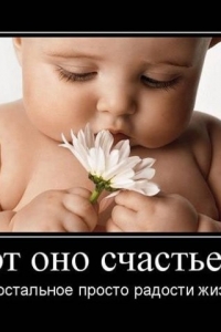 ������ 