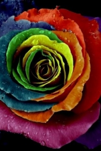 ilmir