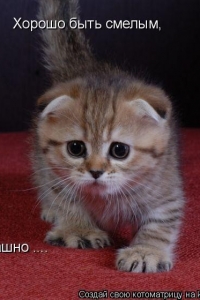 �������� �������