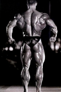 ������ ��������